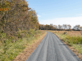 wąska droga gruntowa przecinająca zielone pole do samotnego domu w oddali
