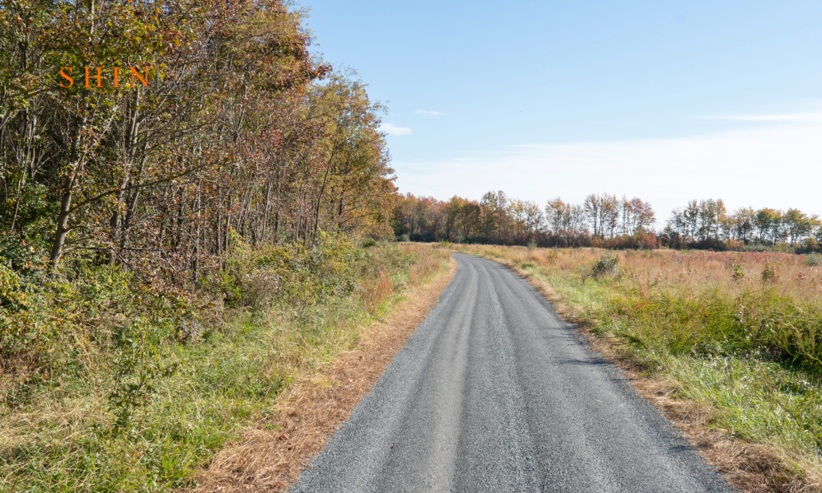 wąska droga gruntowa przecinająca zielone pole do samotnego domu w oddali