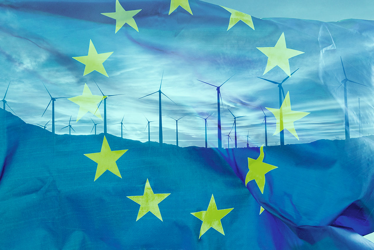 Czysta rzeka płynąca przez europejski las iglasty